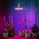 LED-U150-16W/SPSB/E27/FR PLP30WH Лампа светодиодная спектр для растений. Форма UFO, матовая. Спектр 