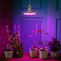 LED-U150-16W/SPSB/E27/FR PLP30WH Лампа светодиодная спектр для растений. Форма UFO, матовая. Спектр 