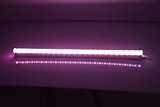 Светодиодный светильник для растений GLF1-1200-18BT-FITO, спектр для цветения и завязей, 1/30